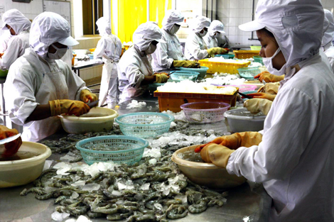 Mỹ áp thuế chống trợ cấp tôm đông lạnh Việt Nam ảnh 1